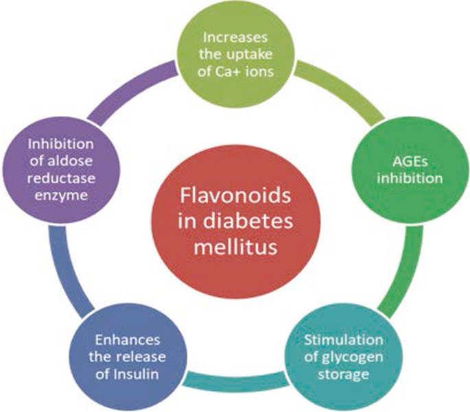 Flavonoids Role in Diabetes Management: How DiabeSutra™ Supports a Healthier Life