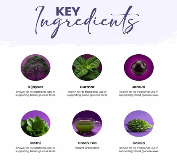 Know Your Herbs: The Science Behind DiabeSutra’s Natural Blood Sugar Support